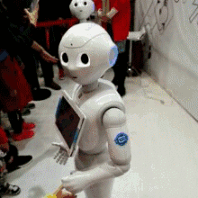 timg.gif