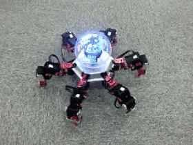机器人教育.gif