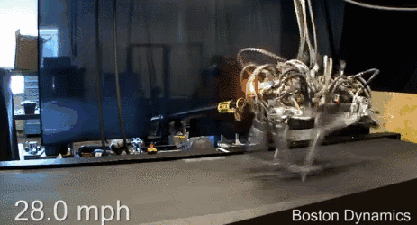 1511149438966914.gif