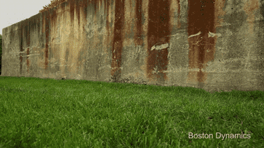 1511749752281178.gif