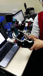 机器人教育.gif
